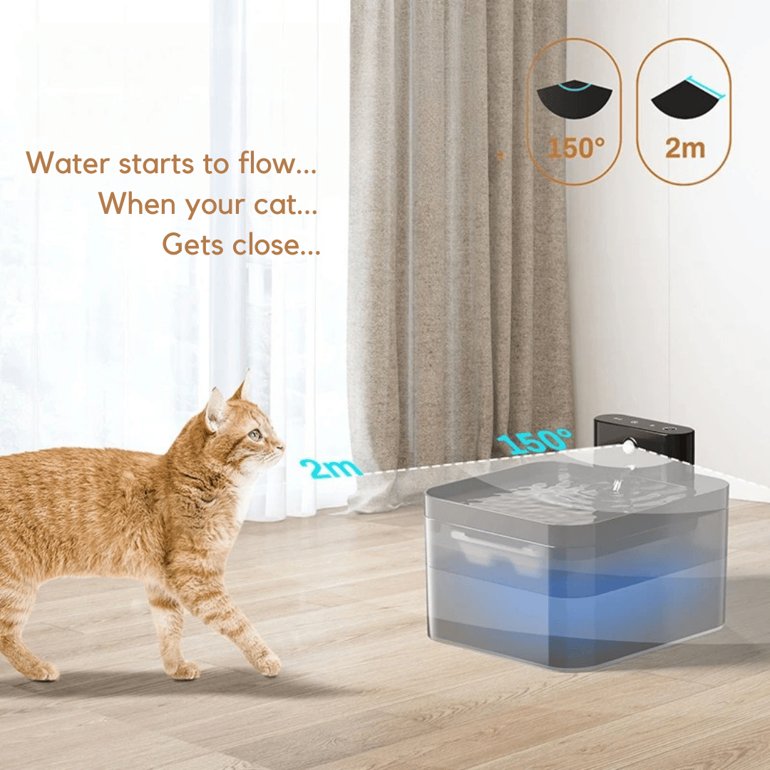 Pet Water Fountain Advanced Sensor Easy Clean