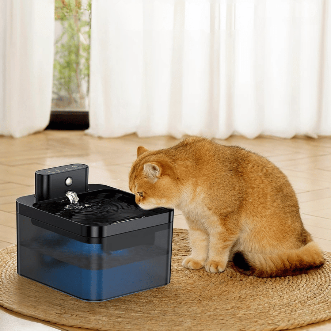 Pet Water Fountain Advanced Sensor Easy Clean