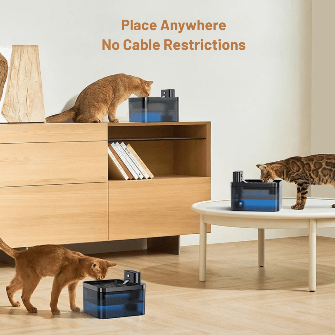 Pet Water Fountain Advanced Sensor Easy Clean