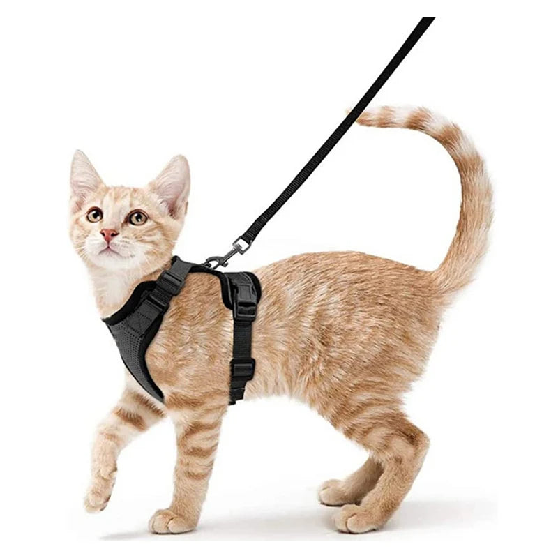 Cat Harness Leash Set Breathable Comfortable