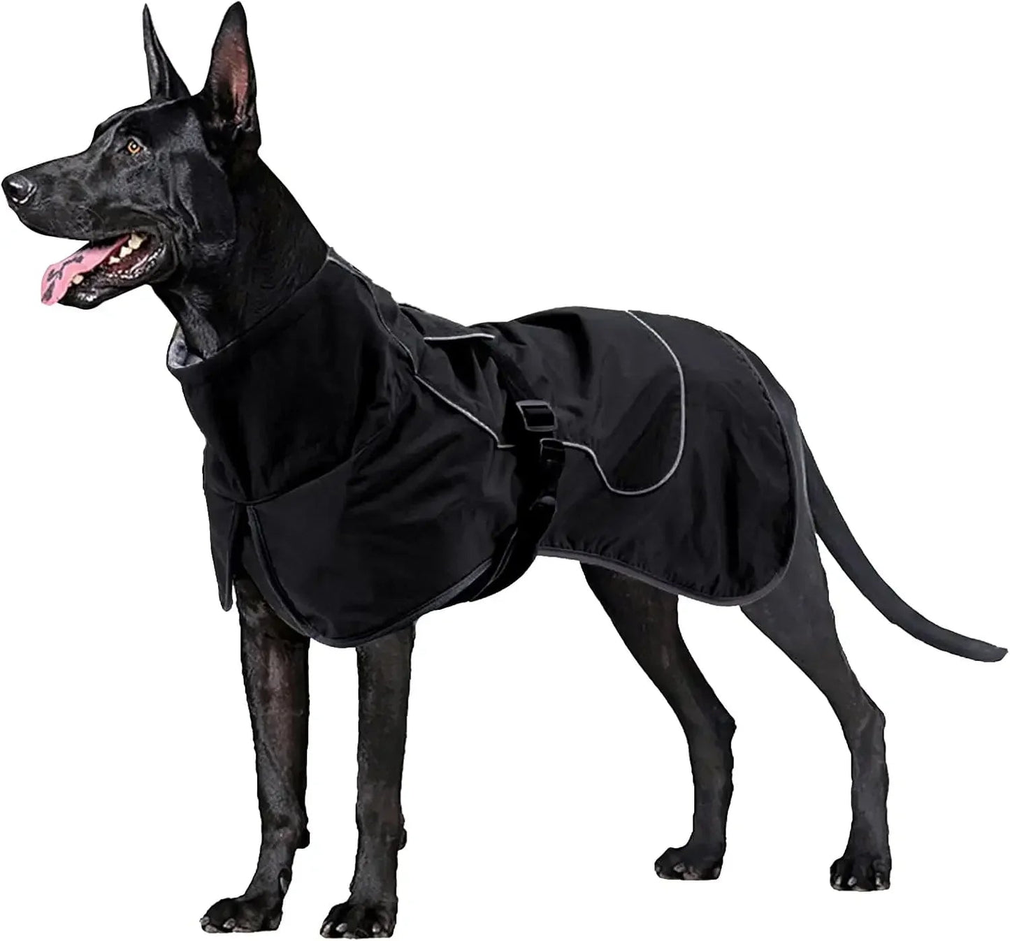 Insulated Dog Winter Coat