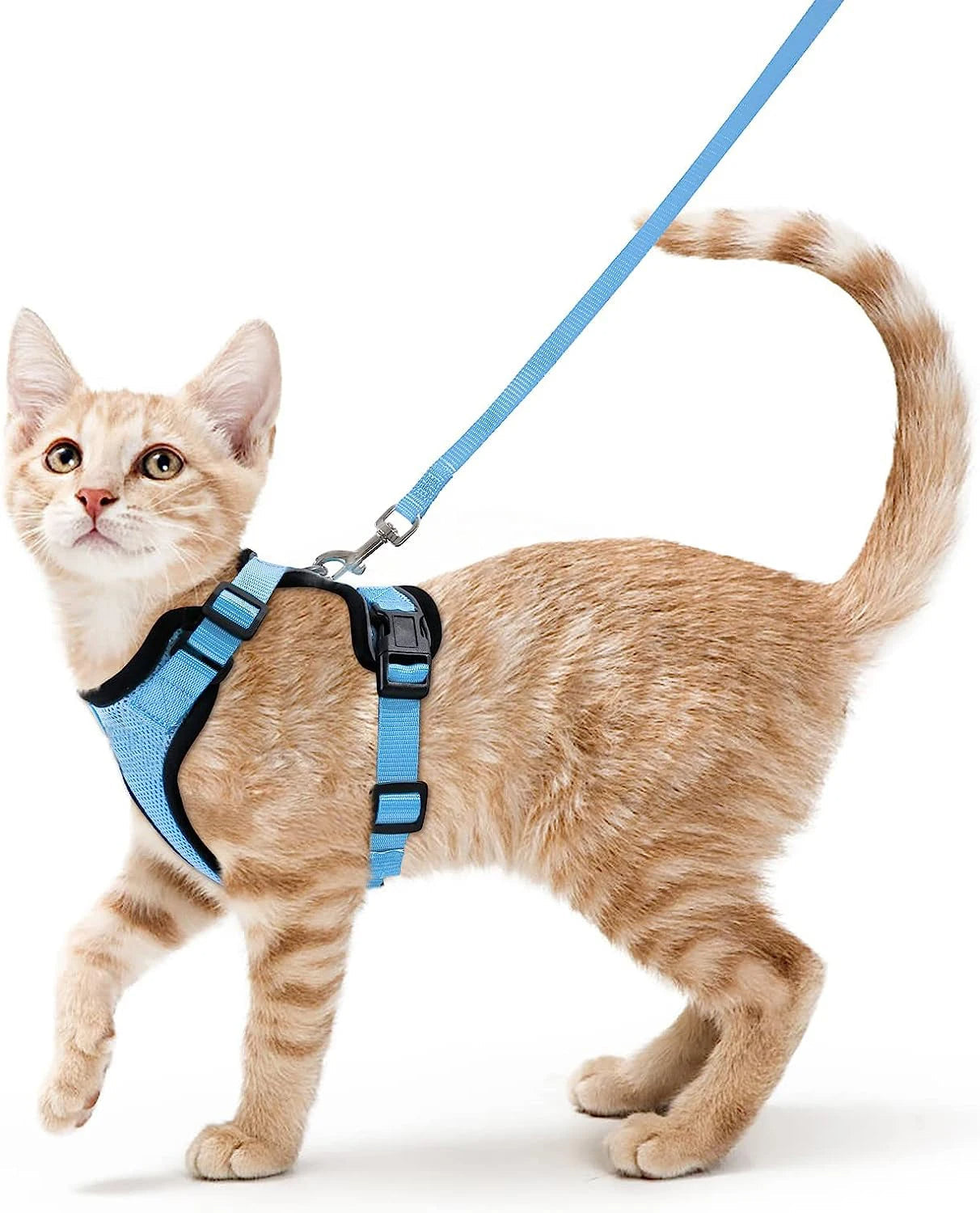 Cat Harness Leash Set Breathable Comfortable