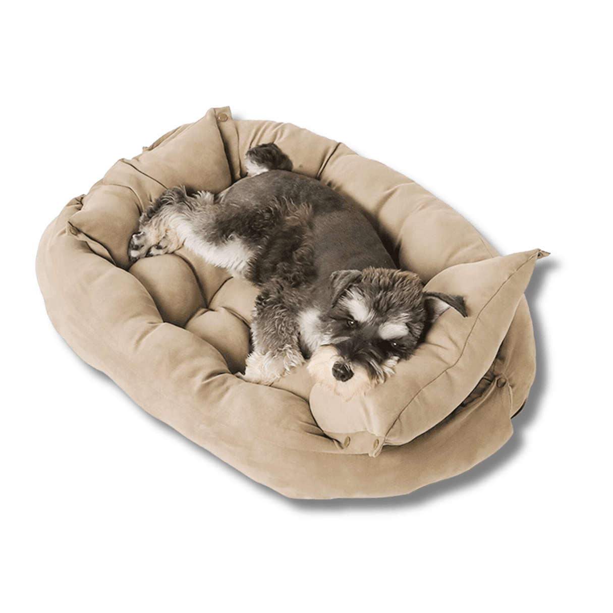 Stylish 3-in-1 Convertible Luxury Dog Bed Sofa