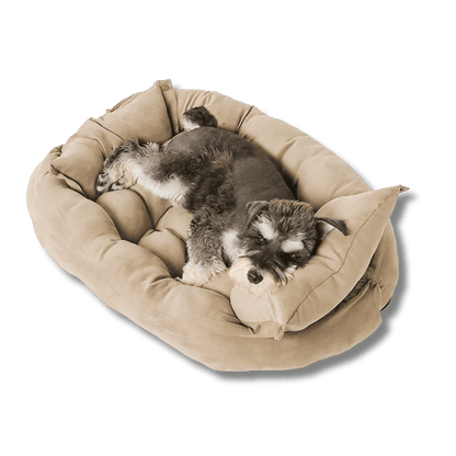 Stylish 3-in-1 Convertible Luxury Dog Bed Sofa