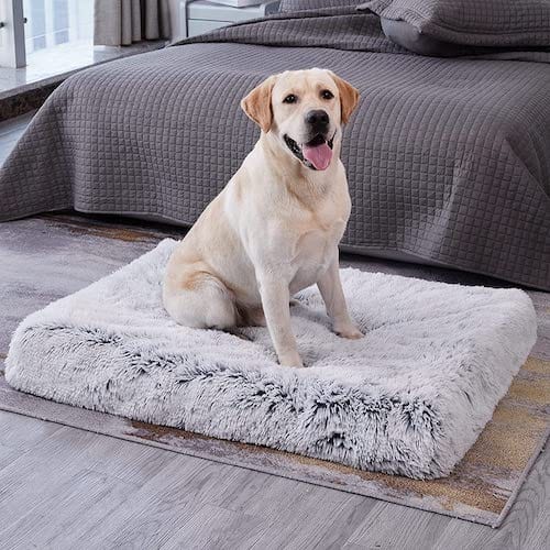Orthopedic Calming Dog Bed - Relieves Anxiety & Promotes Sleep