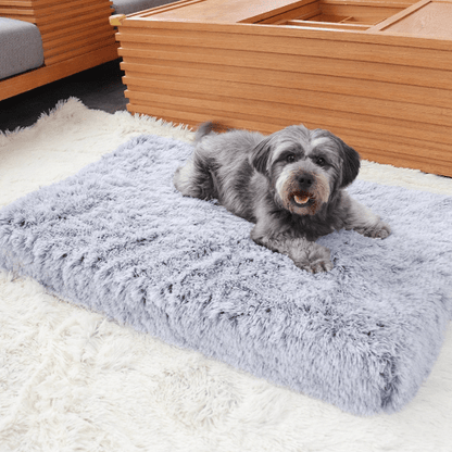 Orthopedic Calming Dog Bed - Relieves Anxiety & Promotes Sleep