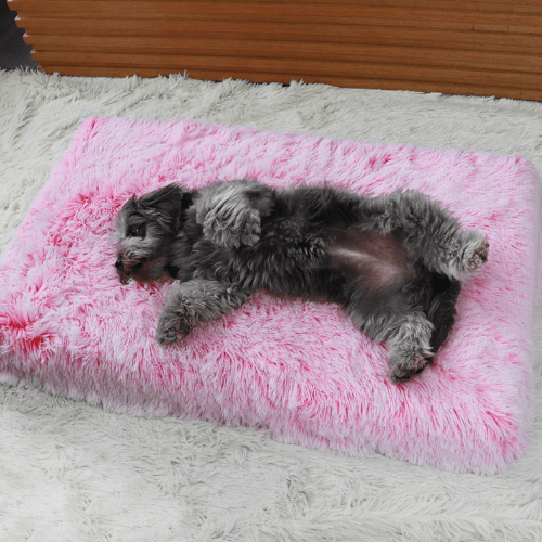 Orthopedic Calming Dog Bed - Relieves Anxiety & Promotes Sleep