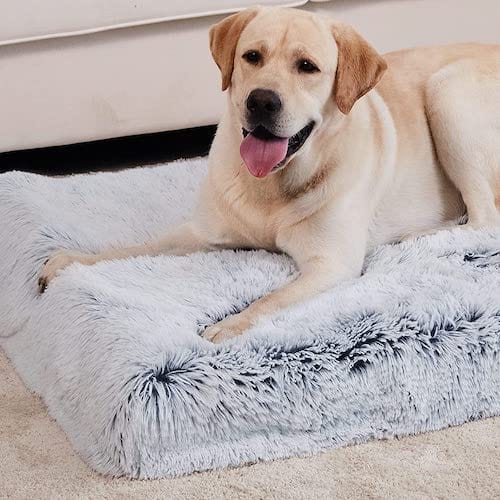 Orthopedic Calming Dog Bed - Relieves Anxiety & Promotes Sleep