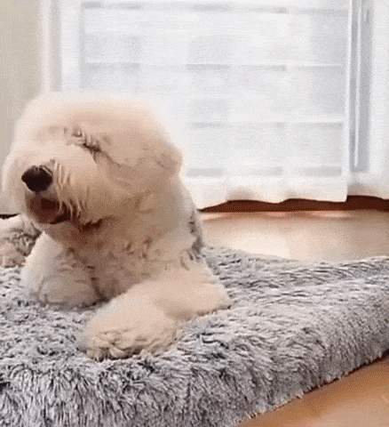 Orthopedic Calming Dog Bed - Relieves Anxiety & Promotes Sleep