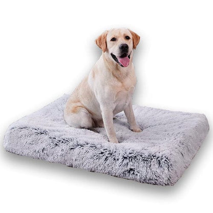 Orthopedic Calming Dog Bed - Relieves Anxiety & Promotes Sleep