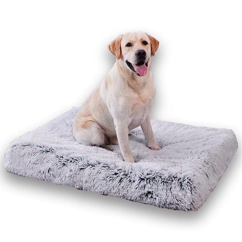 Orthopedic Calming Dog Bed - Relieves Anxiety & Promotes Sleep