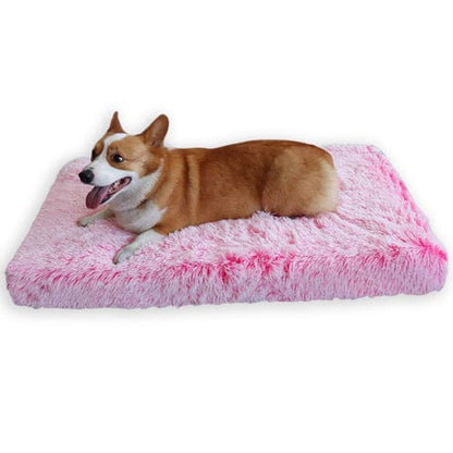 Orthopedic Calming Dog Bed - Relieves Anxiety & Promotes Sleep