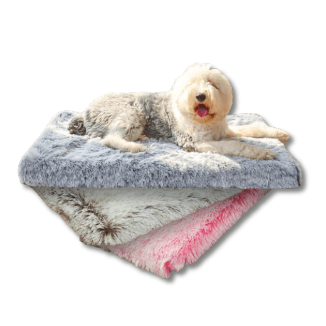 Orthopedic Calming Dog Bed - Relieves Anxiety & Promotes Sleep