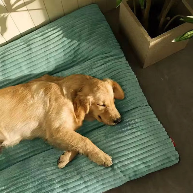 Orthopedic Dog Pillow Plush Removable Cover