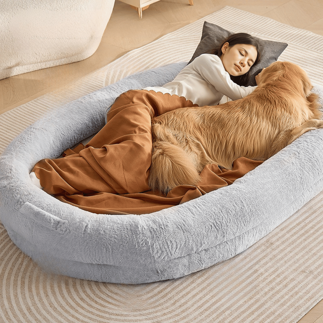 Orthopedic Pet Bed Memory Foam Comfortable Large - Pupporia