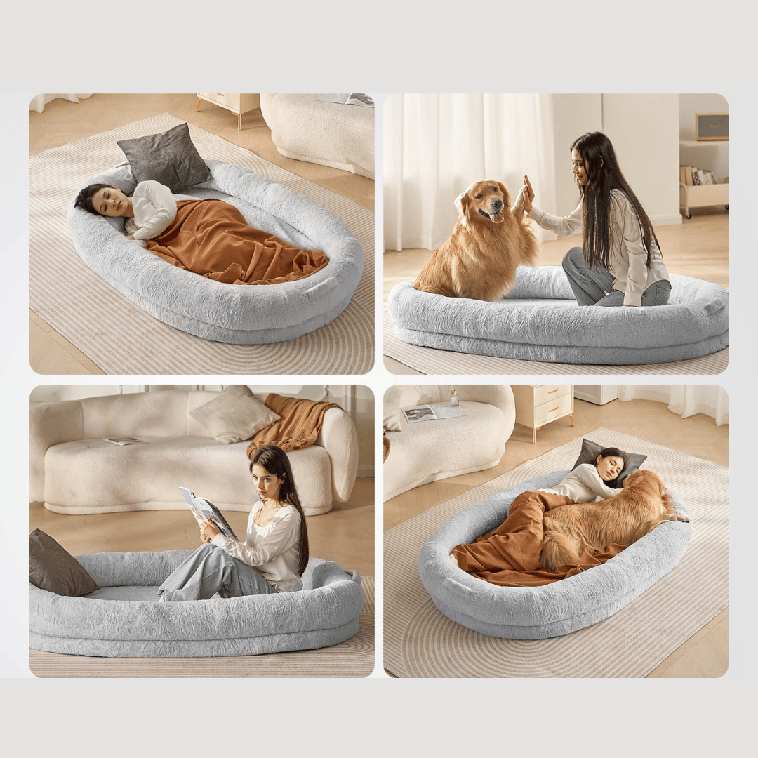 Orthopedic Pet Bed Memory Foam Comfortable Large