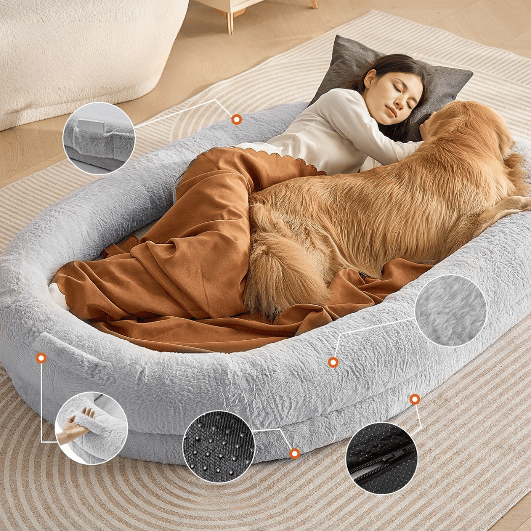Orthopedic Pet Bed Memory Foam Comfortable Large