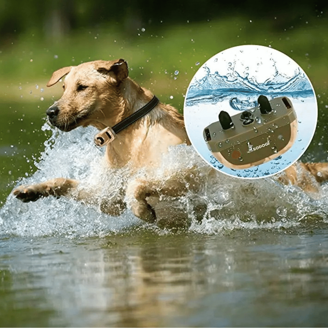 Remote Control Dog Training Collar Waterproof 600m Range