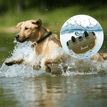 Remote Control Dog Training Collar Waterproof 600m Range