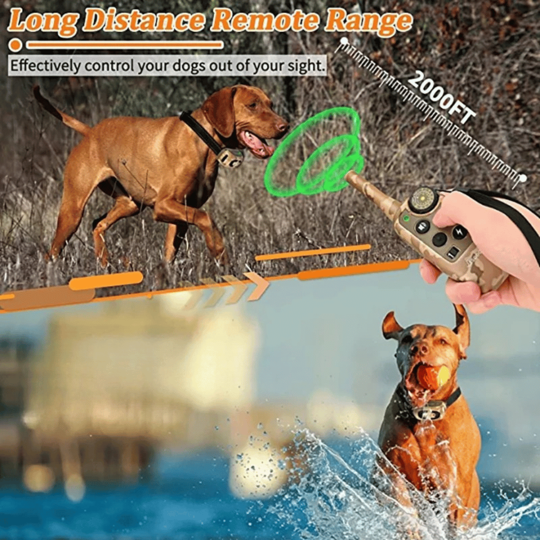 Remote Control Dog Training Collar Waterproof 600m Range