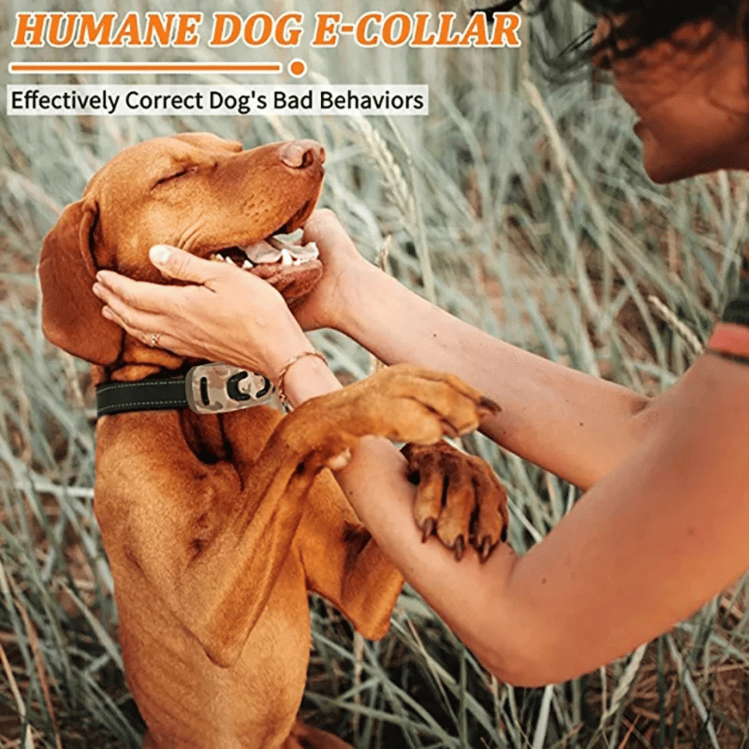 Remote Control Dog Training Collar Waterproof 600m Range