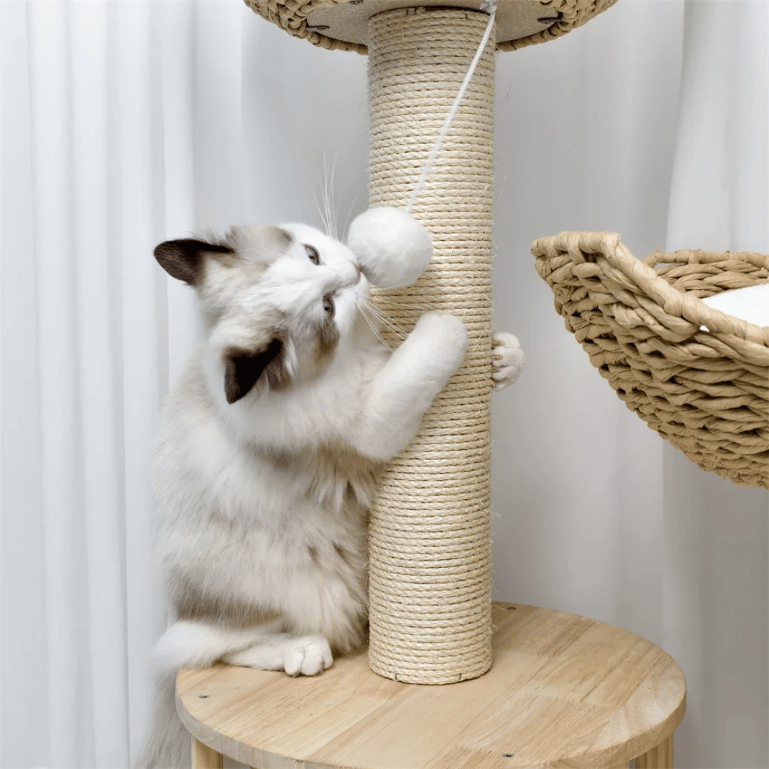 Cat Tower Climber Bed Scratch Post