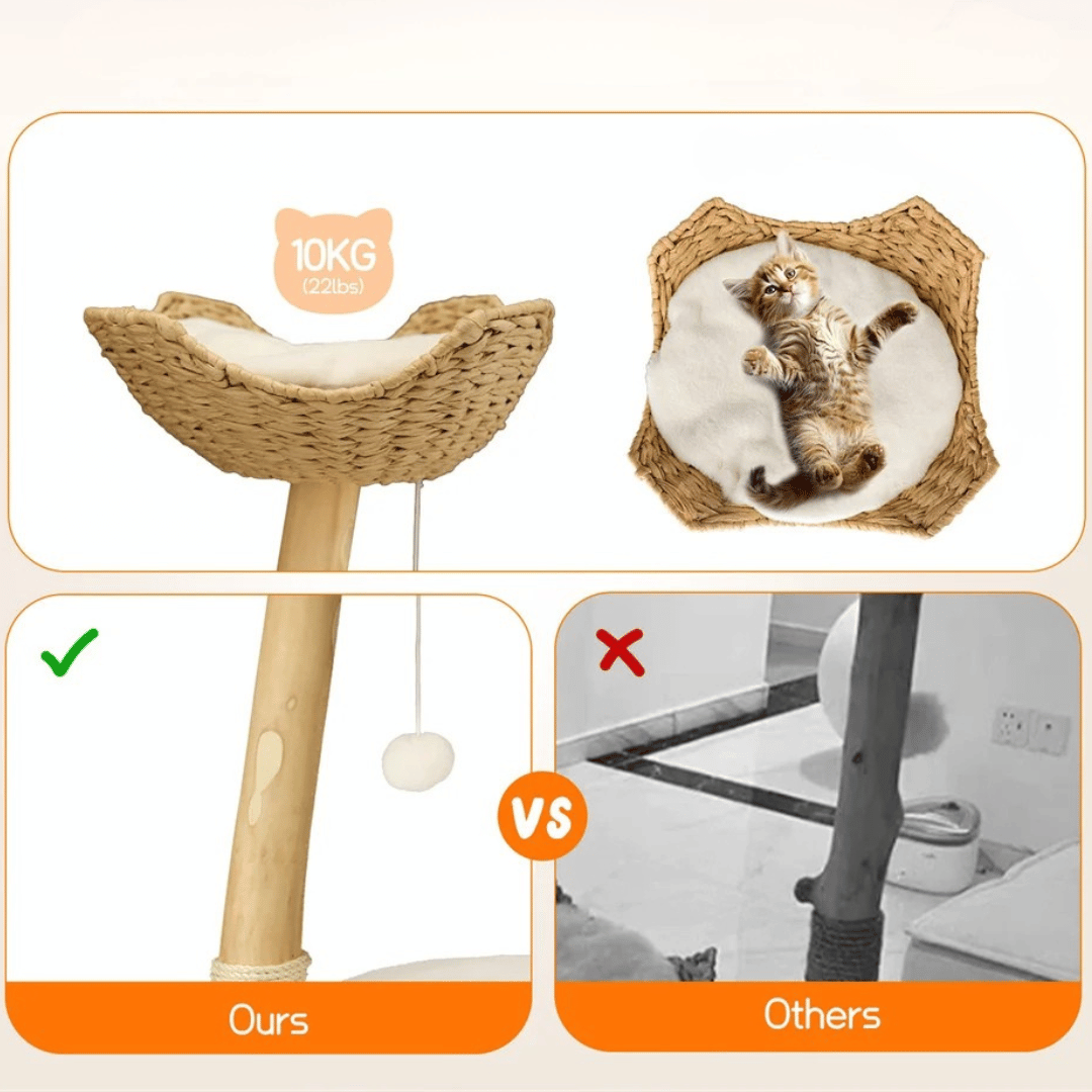 Cat Tower Climber Bed Scratch Post