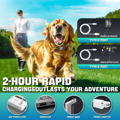 Adjustable Dog Training Collar Bark Control
