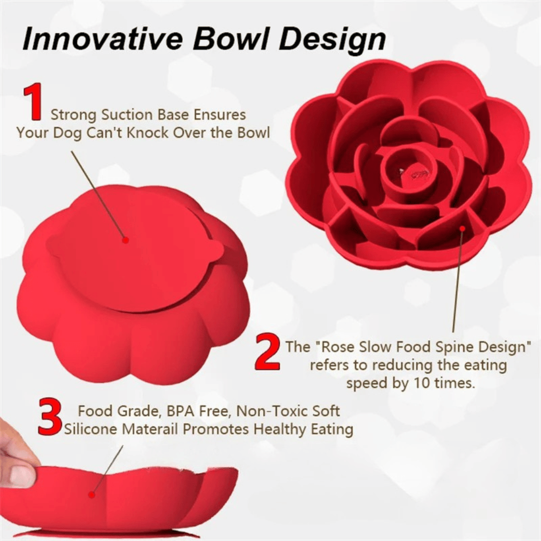 Fun Feeder Non Slip Dog Bowl Healthy Eating