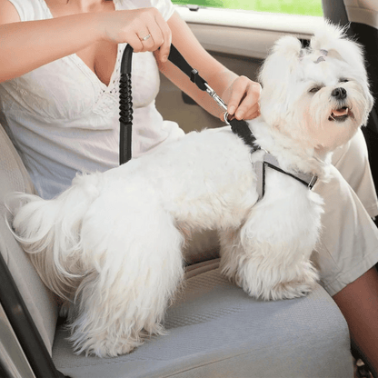 Pet Car Safety Harness