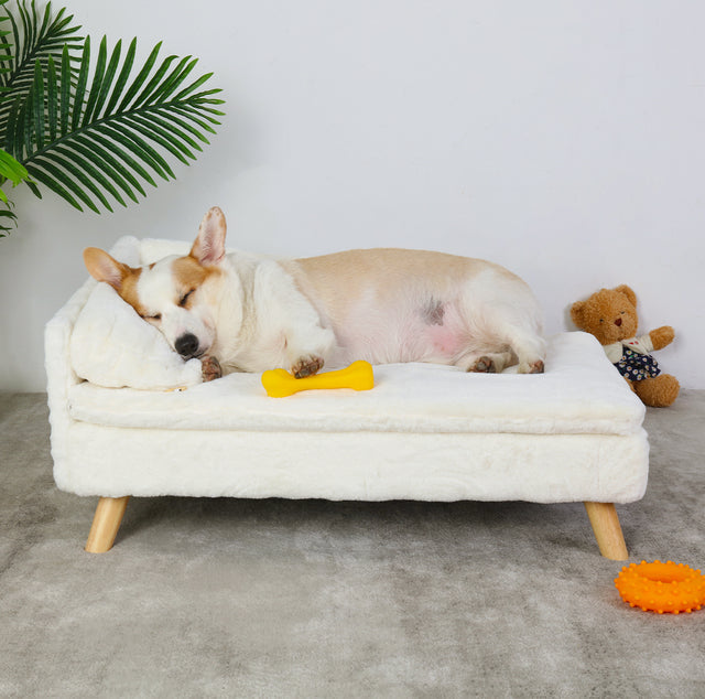 Orthopedic Pet Bed for Cats and Dogs - Pupporia