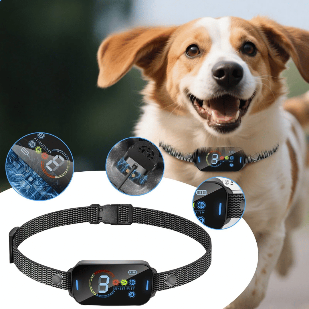 Pet Training Collar Rechargeable Comfortable
