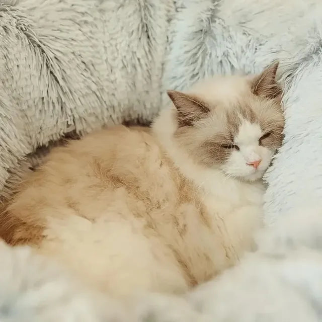 Cat Tunnel Bed Hideaway