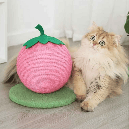 Cat Play Scratching Ball Toy