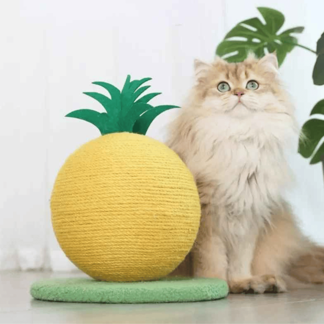 Cat Play Scratching Ball Toy