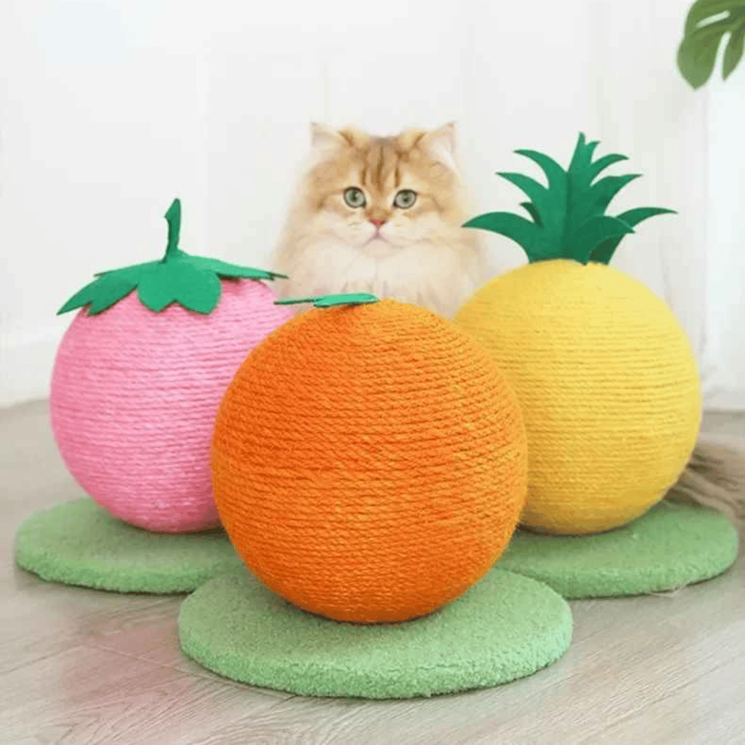 Cat Play Scratching Ball Toy