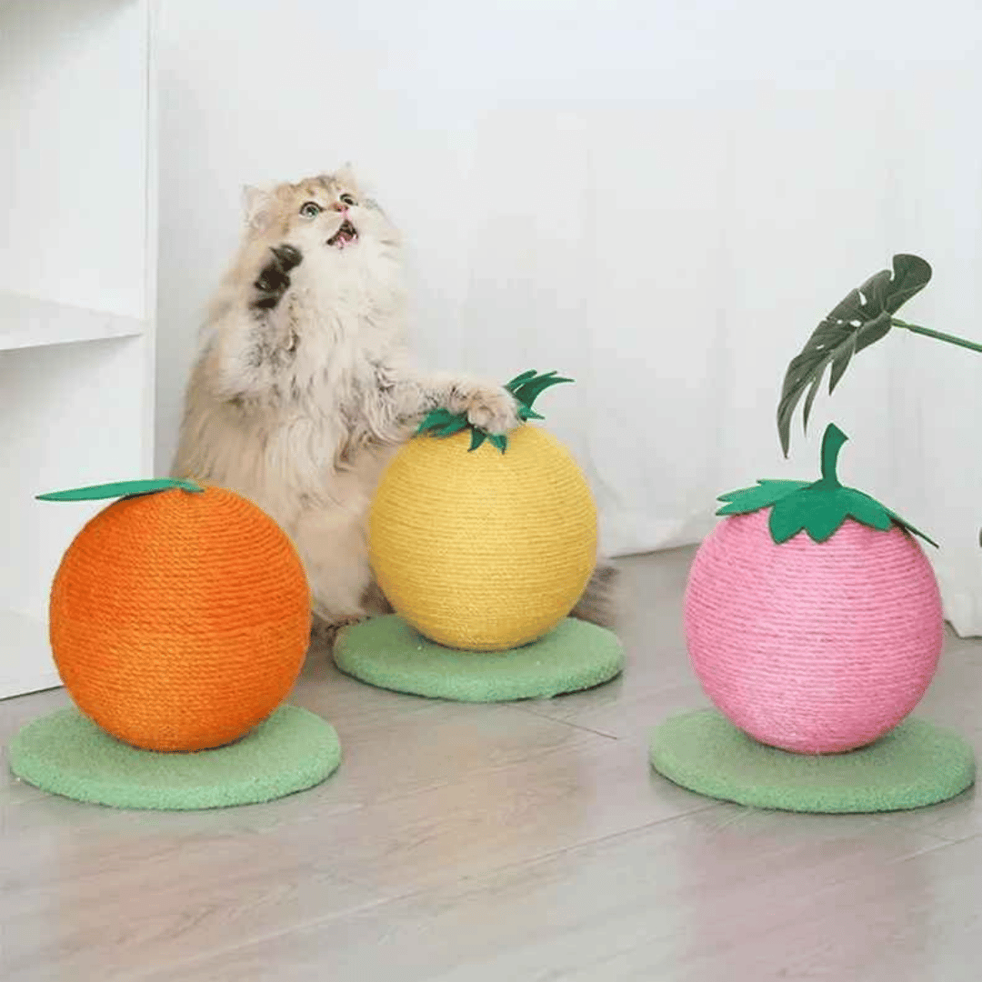 Cat Play Scratching Ball Toy