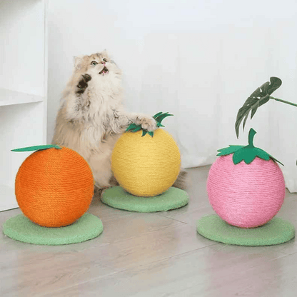 Cat Play Scratching Ball Toy