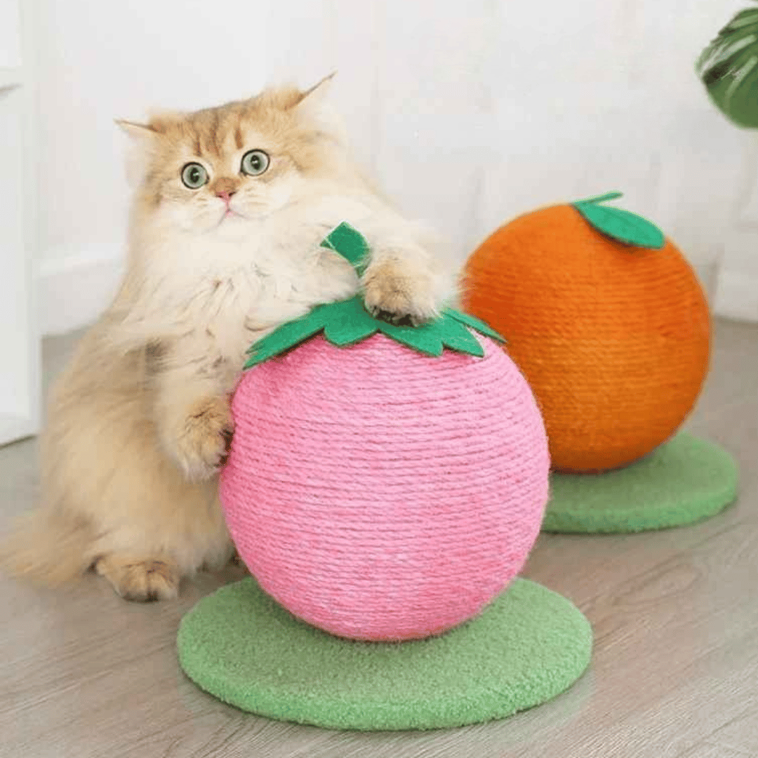 Cat Play Scratching Ball Toy