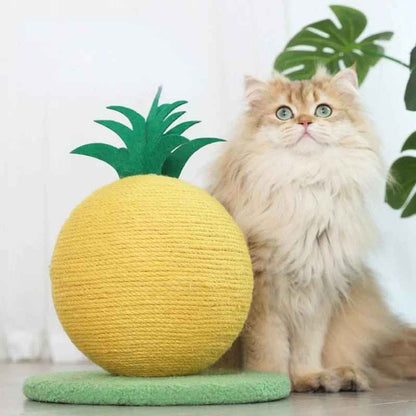 Cat Play Scratching Ball Toy