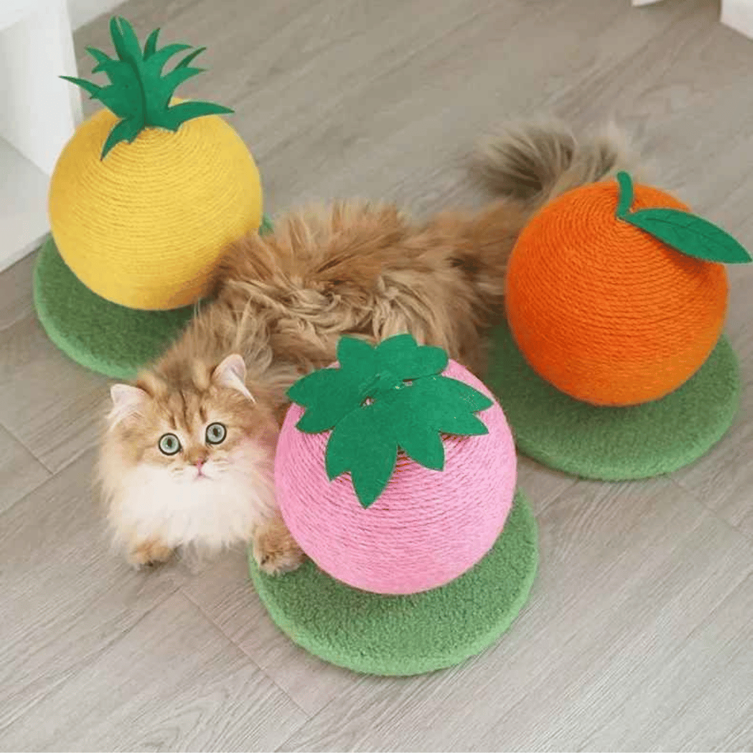 Cat Play Scratching Ball Toy