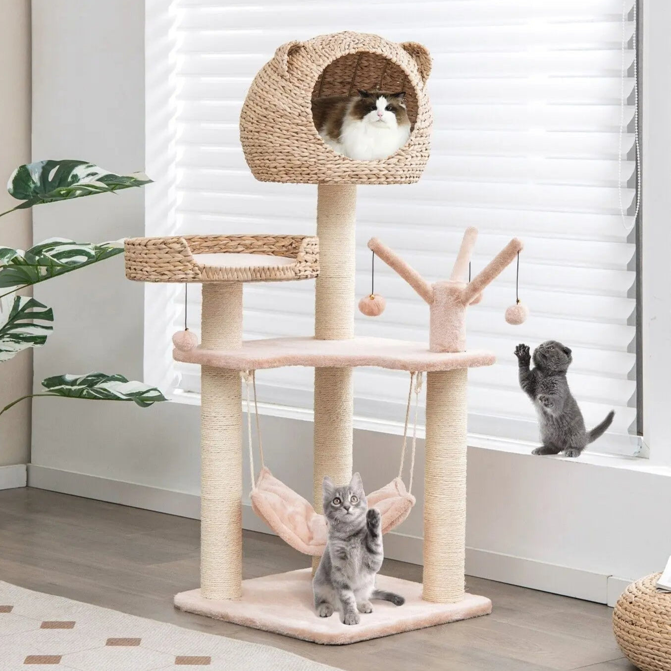 Cat Climbing Tower Bed Hideaway
