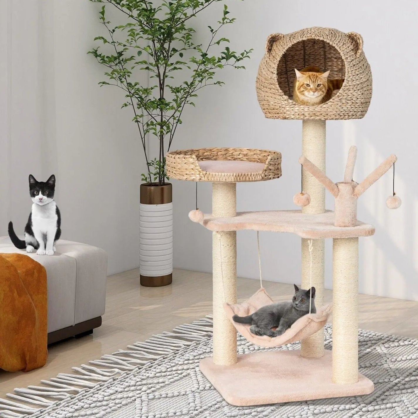 Cat Climbing Tower Bed Hideaway