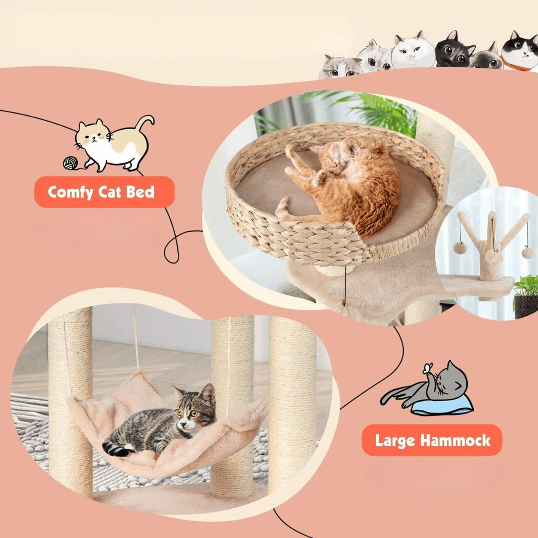 Cat Climbing Tower Bed Hideaway