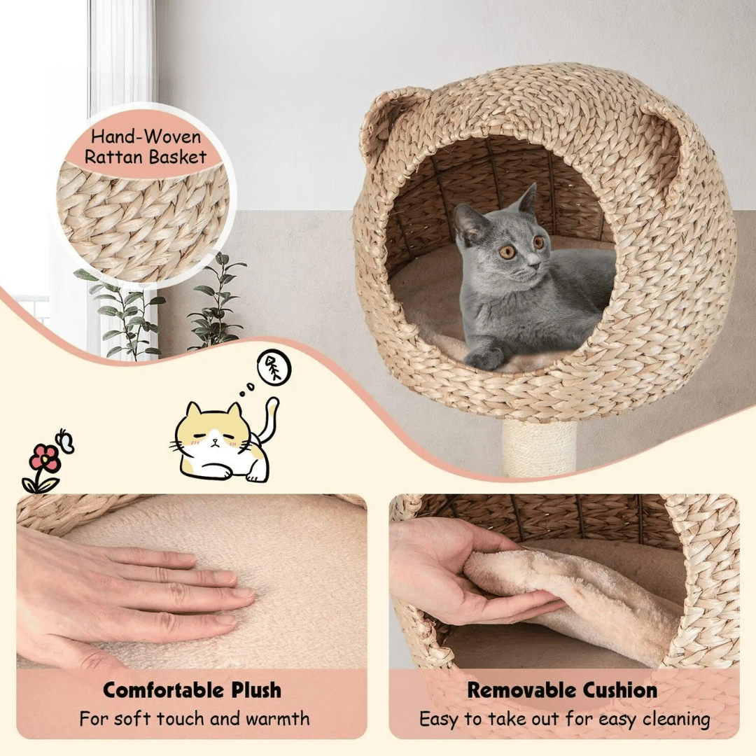 Cat Climbing Tower Bed Hideaway