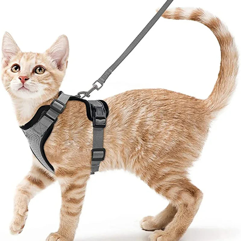 Cat Harness Leash Set Breathable Comfortable