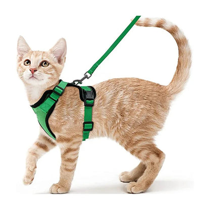 Cat Harness Leash Set Breathable Comfortable - Pupporia