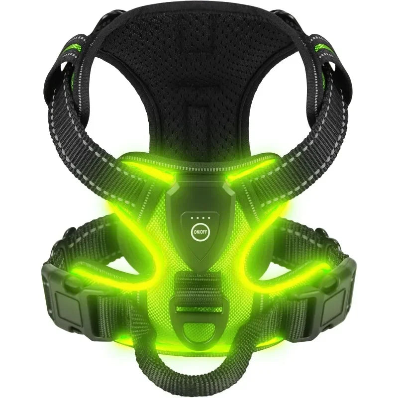 Visible Led Dog Vest Nighttime Walking Safety - Pupporia