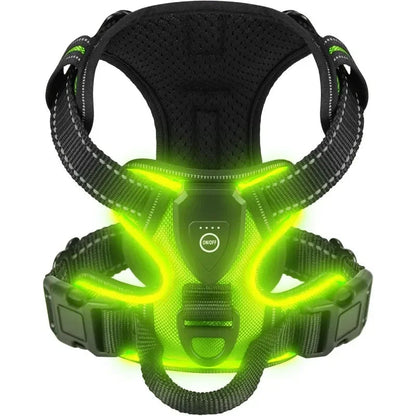 Visible Led Dog Vest Nighttime Walking Safety - Pupporia