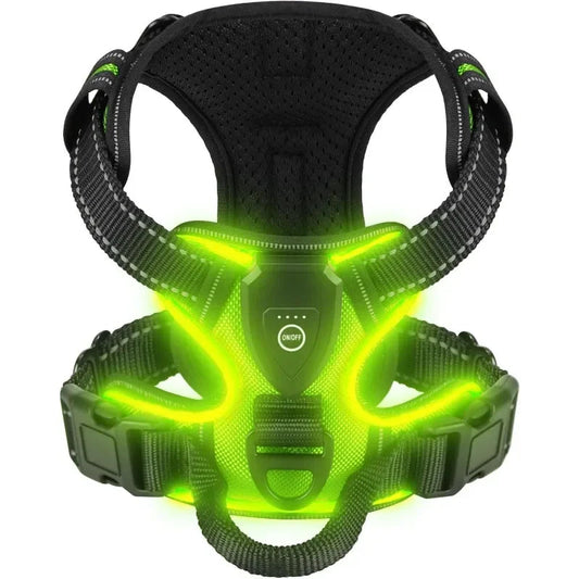 Visible Led Dog Vest Nighttime Walking Safety - Pupporia